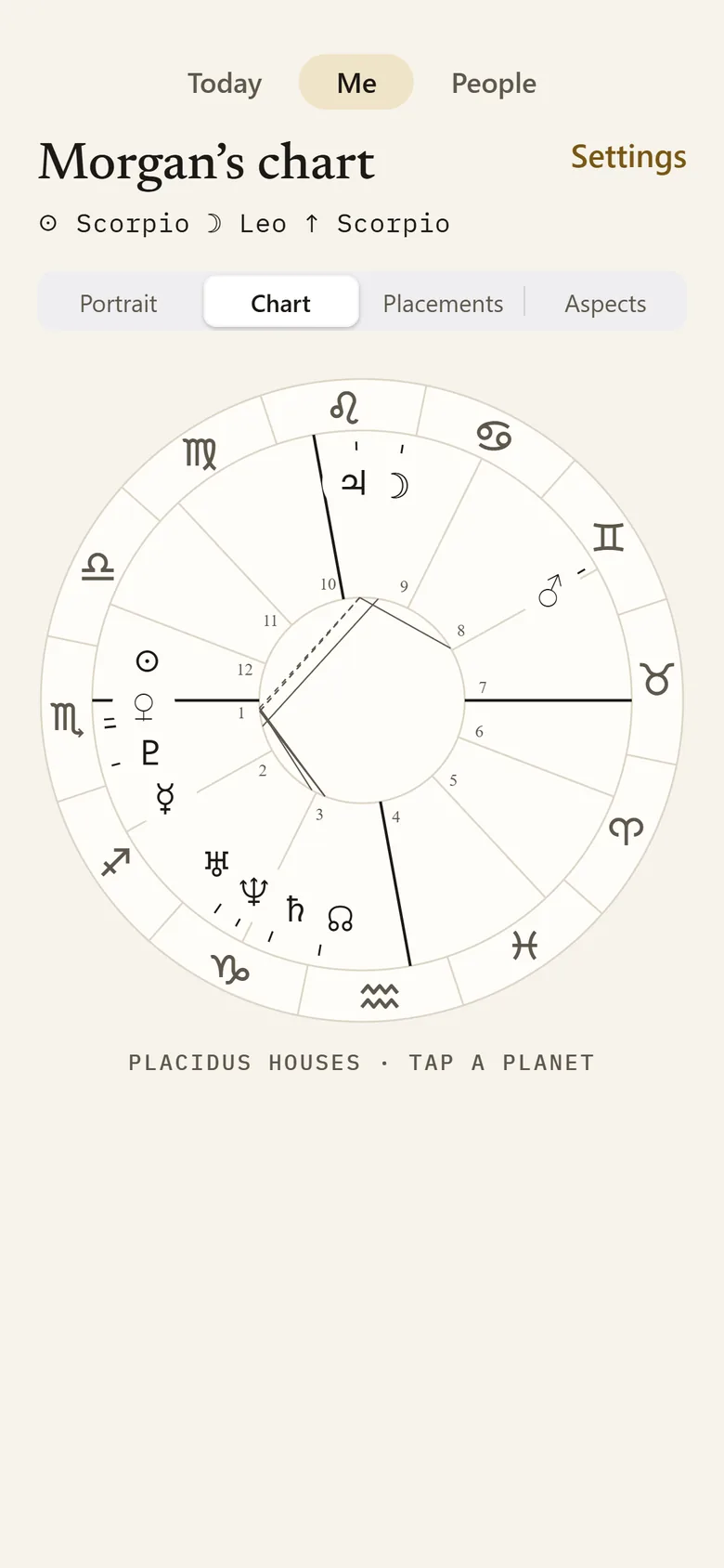 The chart wheel with Placidus houses.